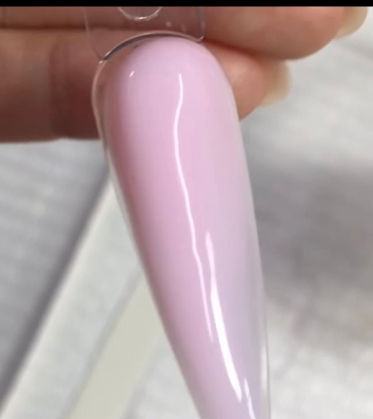 Pink Petal