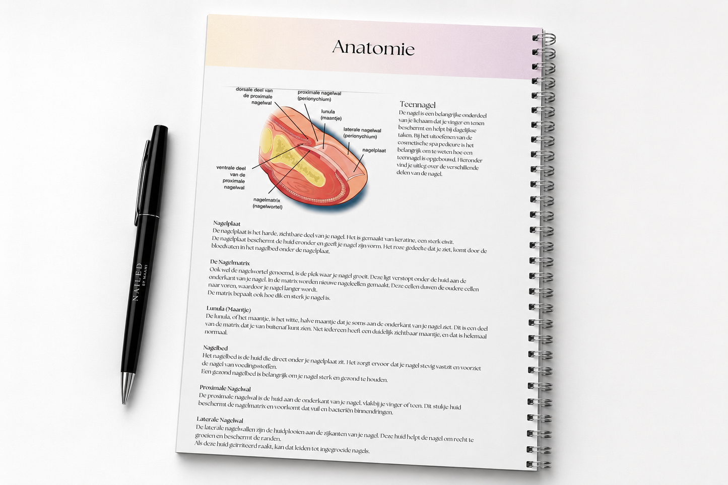 COSMETISCHE SPA PEDICURE NAIL STUDENT WORKBOOK